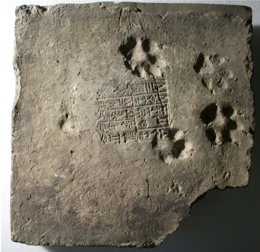 Mud-Brick With a Dog's Paw Print from Ur (Illustration) - World History  Encyclopedia